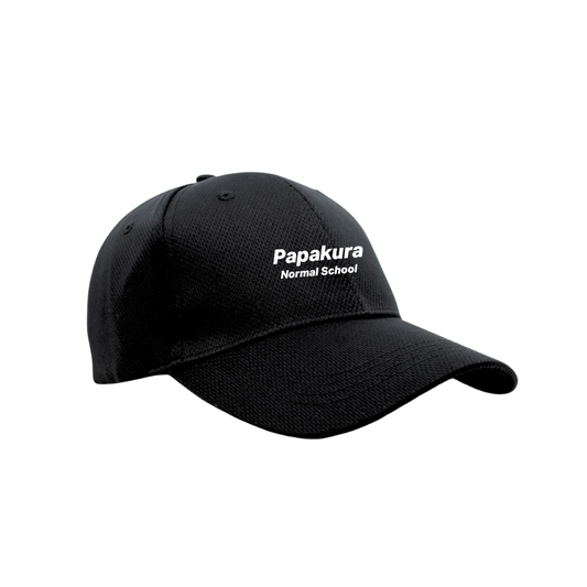 School Cap